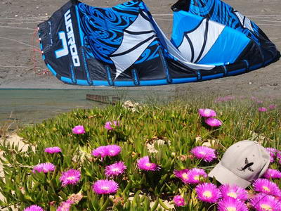kite occasion